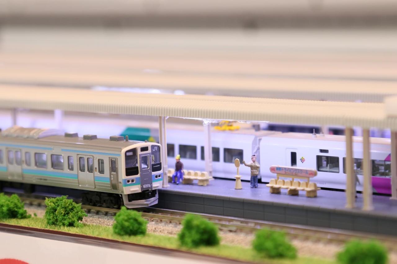 Tetsu No Ya Guesthouse For Railfans Fuefuki Exteriör bild
